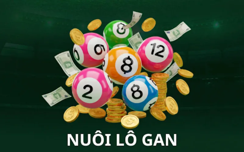 nuôi lô gan